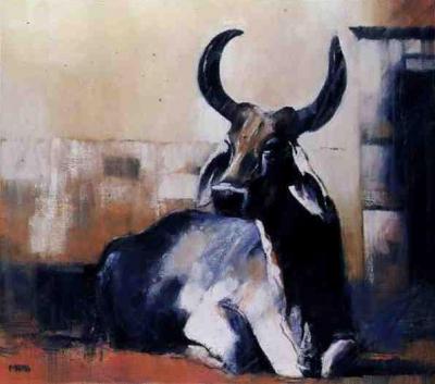 [Adlington - Sacred Cow, Bhuj] 