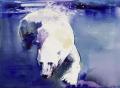 [Underwater Bear]