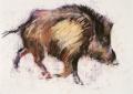 [Wild Boar Trotting]