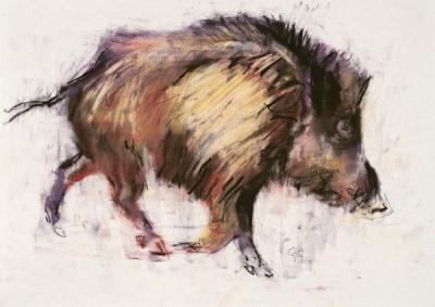 [Adlington - Wild Boar Trotting] 