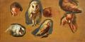 [Studies of a Fox and a Barn Owl]
