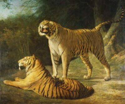 [Agasse - A Tiger and Tigress at the Exeter 'Change Menagerie in 1808] 