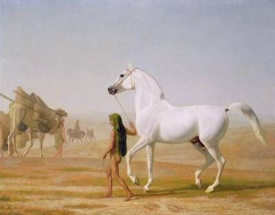 [Agasse - Wellesley Grey Arabian] 