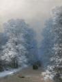 [Winter Landscape]
