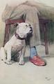 [Bulldog]