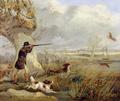 [Duck Shooting]