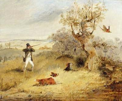 [Alken - Pheasant Shooting] 