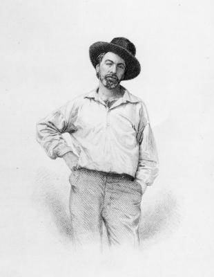 [American School - Walt Whitman, frontispiece to Leaves of Grass] 