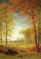 [Autumn in America, Oneida County, New York]