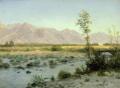 [Prairie Landscape]