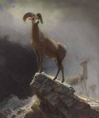 [Bierstadt - Rocky Mountain Sheep or Big Horn] 