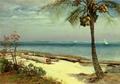 [Tropical Coast]