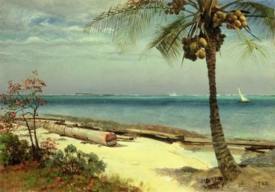 [Bierstadt - Tropical Coast] 