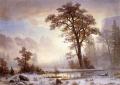 [Valley of the Yosemite, Snow Fall]