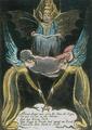 [Albions Angel Rose]
