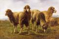 [Sheep Grazing in a Meadow]