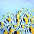 [Blue and Yellow Fish]