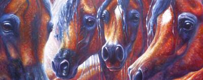[Bustamante - Four Bay Arabians and an Albino] 