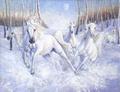 [Snow Runners]