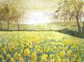 [Yellow Field]