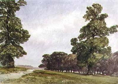[Callow - View in Hyde Park, London] 