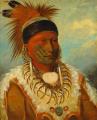 [The White Cloud, Head Chief of the Iowas]