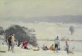 [Tobogganing, The Meads, Hertford]