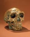 [Peking Man's Reconstructed Skull]