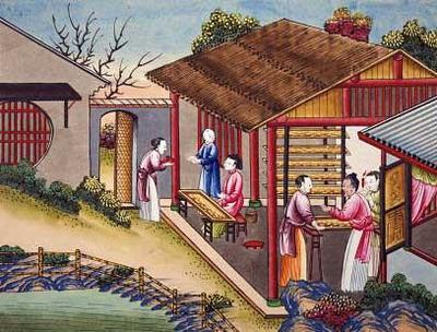 [Chinese School - Silk Cocoons] 