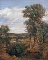 [Dedham Vale]