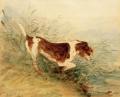 [Dog, Watching a Water Rat, Dedham]