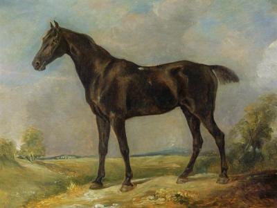 [Constable - Golding Constable's Black Riding-Horse] 