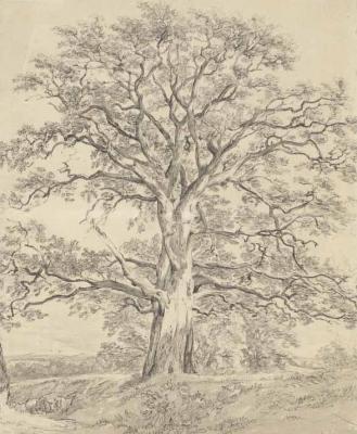 [Constable - A Great Oak Tree] 