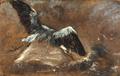 [Study of a Heron]