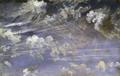 [Study of Cirrus Clouds]