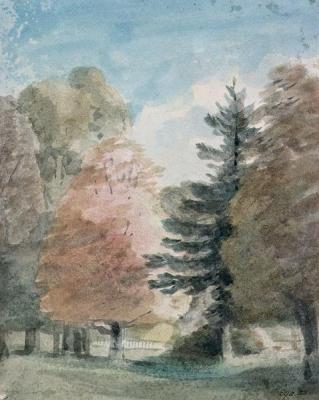 [Constable - Study of Trees in a Park] 