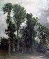 [Trees at Hampstead]