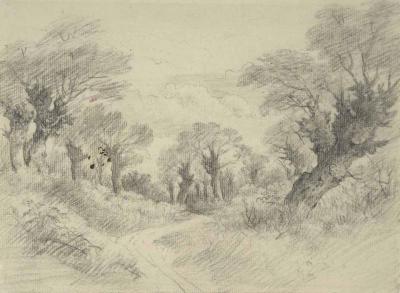 [Constable - Young Pollards] 