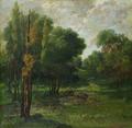 [Forest Landscape]