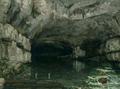 [The Grotto of the Loue]