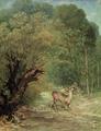 [Hunted Roe-Deer]