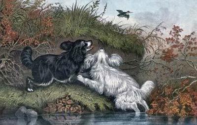 [Currier & Ives - Flushing Woodcock] 