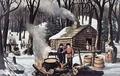 [Maple Sugaring]
