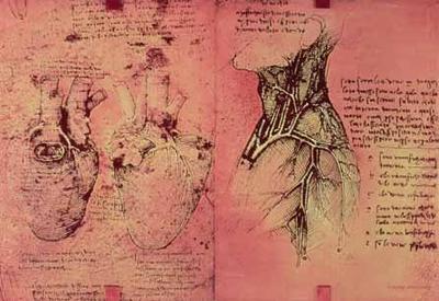 [Da Vinci - Anatomical Drawing of Hearts] 