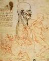 [Anatomical Studies]