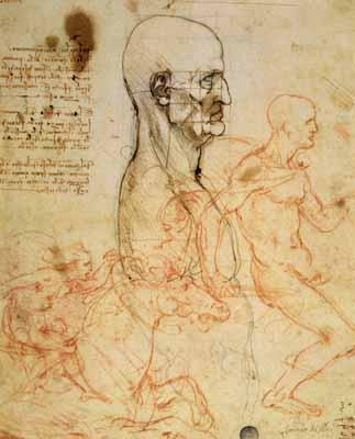[Da Vinci - Anatomical Studies] 