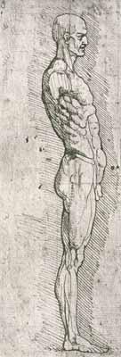 [Da Vinci - Anatomical Study] 