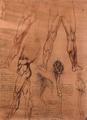 [A Page from Quaderni D'Anatomia]