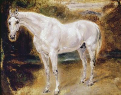 [Delacroix - White Horse] 