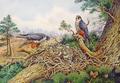 [Hobbys at their Nest]